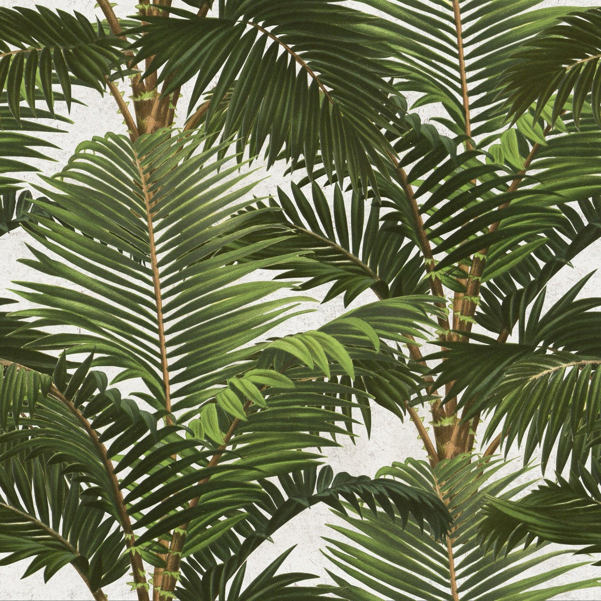 JARDIN TROPICAL Wallpaper by Mindthegap