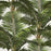 JARDIN TROPICAL Wallpaper by Mindthegap