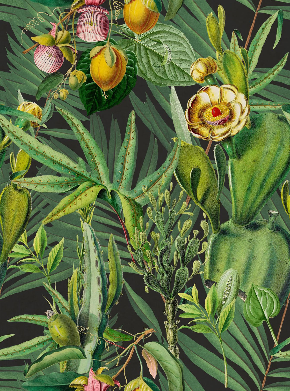LUSCIOUS FLORA Wallpaper by Mindthegap