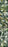 ORANGERIE Wallpaper by Mindthegap