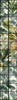 ORANGERIE Wallpaper by Mindthegap