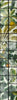 ORANGERIE Wallpaper by Mindthegap