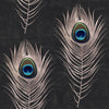 PEACOCK Wallpaper by Mindthegap