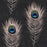 PEACOCK Wallpaper by Mindthegap