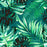 RAINFOREST Wallpaper by Mindthegap