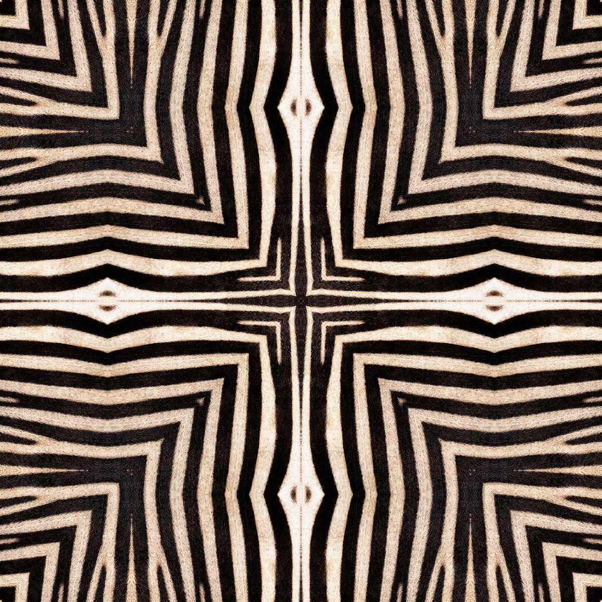 SERENGETI Wallpaper by Mindthegap