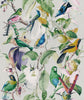 TROPICAL BIRDS Papier peint par Mindthegap
