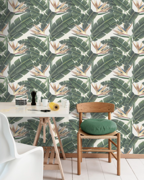 TROPICAL BLOOM Wallpaper by Mindthegap