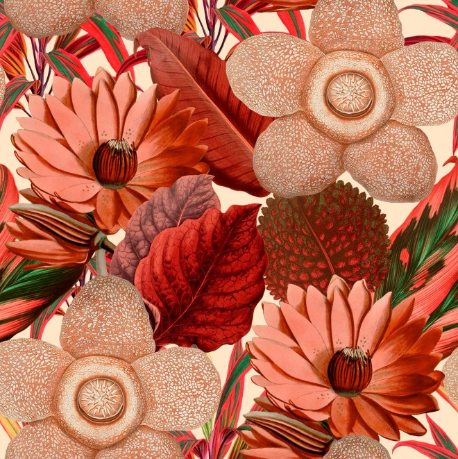 WATER LILIES Taupe Wallpaper by Mindthegap