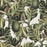 EXOTIC FRUIT Wallpaper by Mindthegap