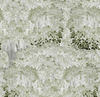 SAVAGE LEAVES Wallpaper by Mindthegap