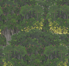 SAVAGE LEAVES Wallpaper by Mindthegap