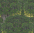 SAVAGE LEAVES Wallpaper by Mindthegap