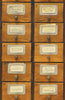 APOTHECARY Wallpaper by Mindthegap