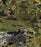 CAMO Wallpaper by Mindthegap