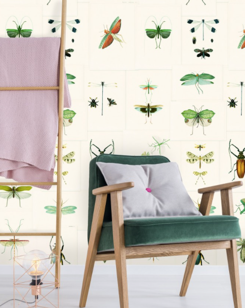 ENTOMOLOGY Wallpaper by Mindthegap