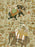 HINDUSTAN Wallpaper by Mindthegap