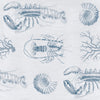 LOBSTER Wallpaper by Mindthegap