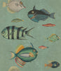 POISSONS Wallpaper by Mindthegap