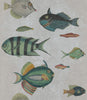 POISSONS Wallpaper by Mindthegap
