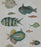 POISSONS Wallpaper by Mindthegap