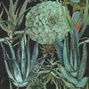 SUCCULENTUS Papier peint par Mindthegap