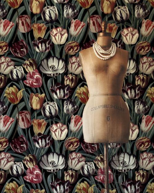TULIPA Wallpaper by Mindthegap