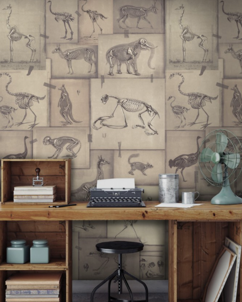 ZOOARCHAEOLOGY Wallpaper by Mindthegap