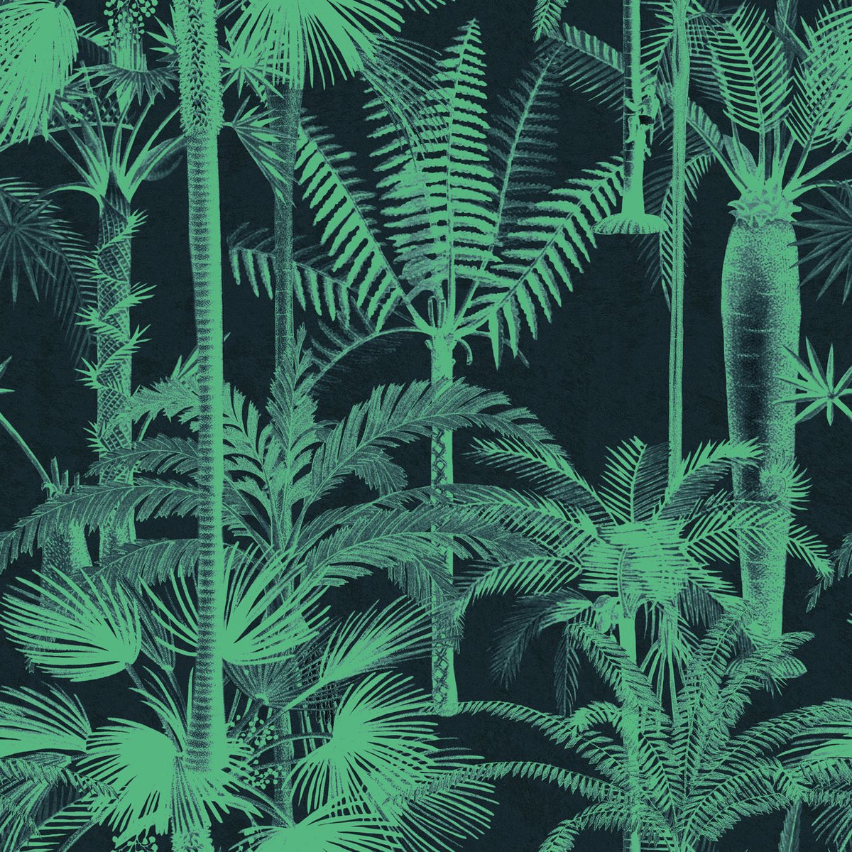 PALMERA CUBANA Wallpaper by Mindthegap