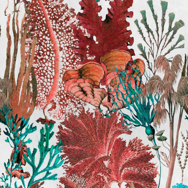 CORAL REEF Wallpaper by Mindthegap