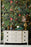 PARROTS OF BRASIL Wallpaper by Mindthegap