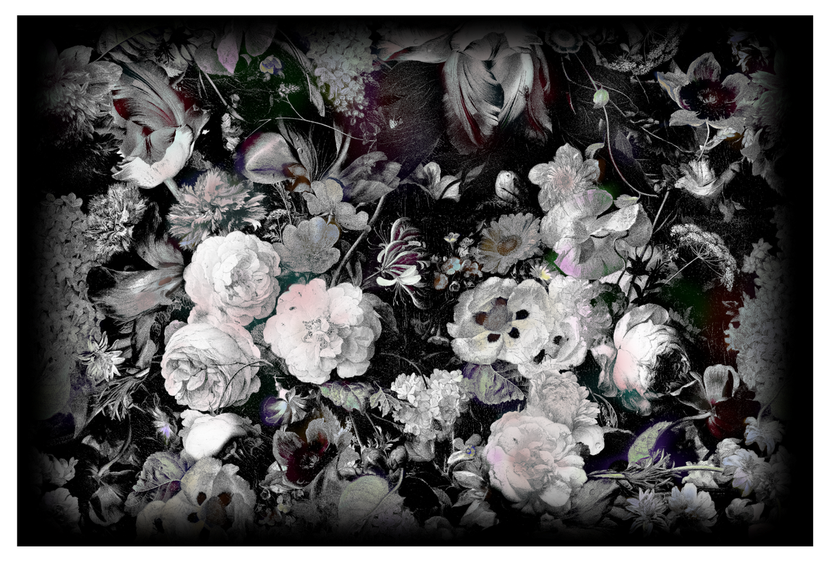 Eden Queen B&W Rectangle by Moooi Carpets