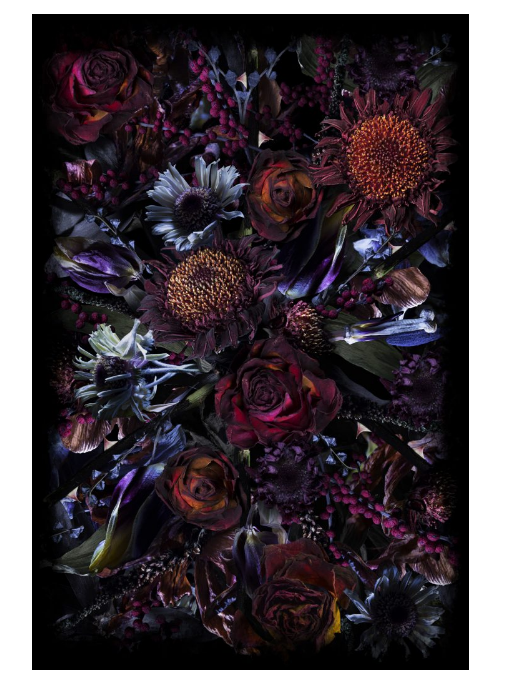 Fool’s Paradise Rectangle by Marcel Wanders for Moooi Carpets