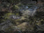 Forest Floors Collection by Front for Moooi Carpets