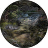 Forest Floors Collection by Front for Moooi Carpets