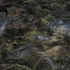 Forest Floors Collection by Front for Moooi Carpets