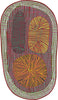 Amoeba by Bertjan Pot for Moooi Carpets