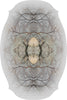 Diamond Tree by Edward van Vliet for Moooi Carpets