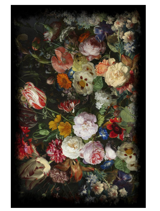 Eden Queen Rectangle by Marcel Wanders for Moooi Carpets