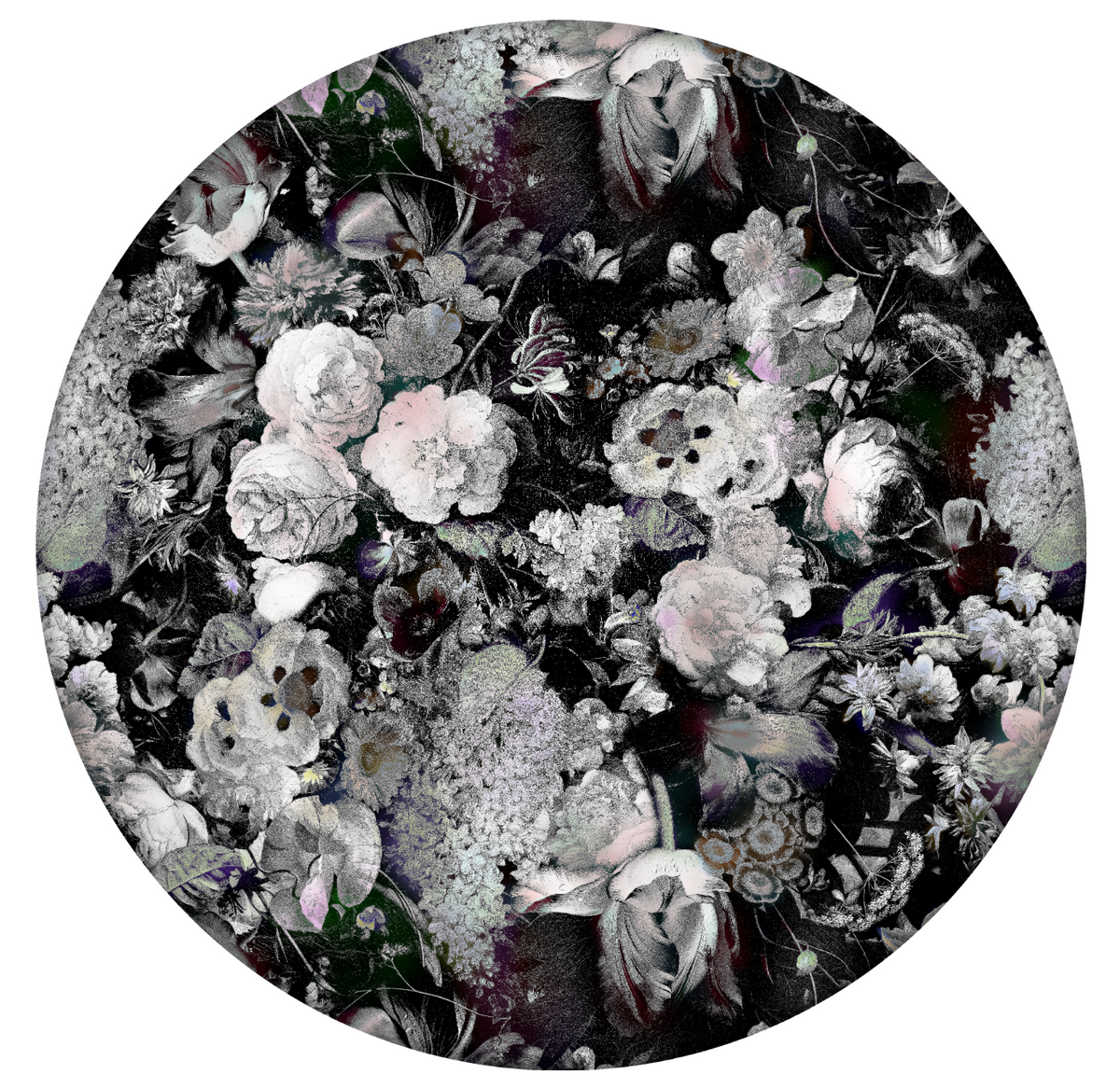 Eden Queen Black & White Round by Moooi Carpets