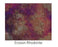 Erosion Round Rugs by Moooi Carpets