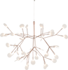 Small copper Heracleum III suspended lighting by Moooi, featuring intricate branching design and modern aesthetic.
