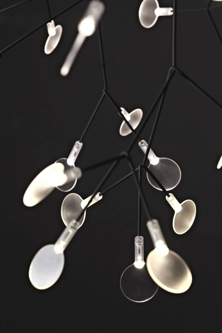 Small copper Heracleum III suspended lighting fixture by Moooi, showcasing intricate design and modern artistry.