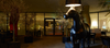 Horse Floor Lamp by Moooi featuring a sleek, modern design with a horse-shaped silhouette and elegant lighting details.