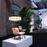 Nut Dining Chair by Moooi