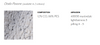 Pooof by Moooi