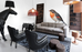 Pig Side Table by Moooi, a whimsical ceramic table with pig-shaped design, showcasing playful decor for modern living spaces.