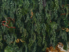 UON-06 Papier peint Art Deco Jungle par UON pour NLXL