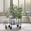 Flow Trolley by Muuto