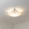 Vela Wall/Ceiling Lamp by Nemo Ark